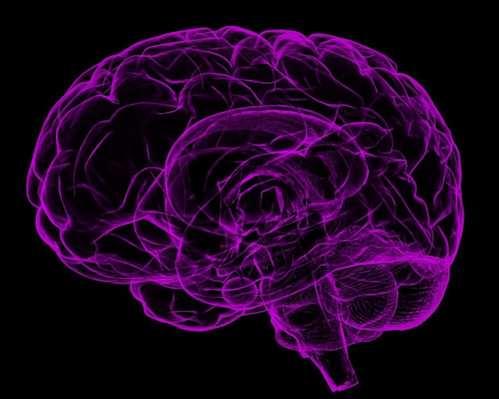 2 Ways relying on your brain to deal with Fibromyalgia – Fibromyalgia Treating