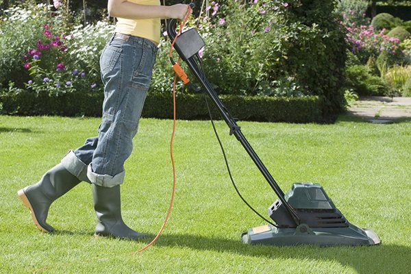 Top 10 Fat burning capacity Cleaning